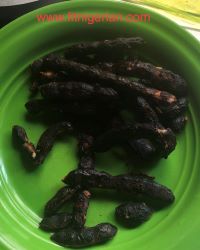 Tamarind pods