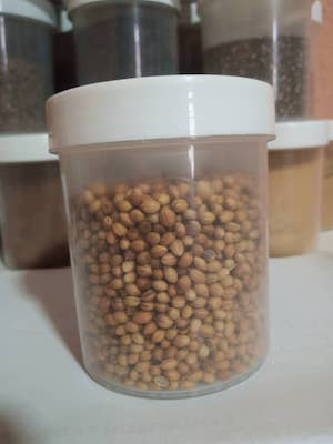 Buy Coriander seeds 50g