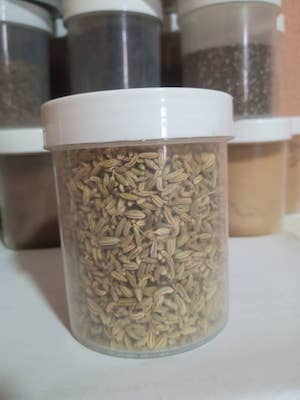 Buy Fennel Seeds