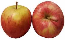 2 Apples Apples