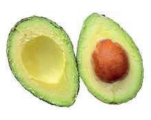 Avocado Avocado