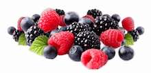 Berries Berries