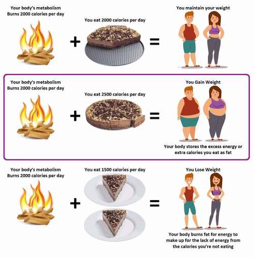 Calories And Weight