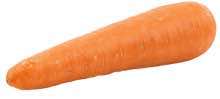 Carrot Carrot