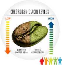 Chlorogenic Acid Level