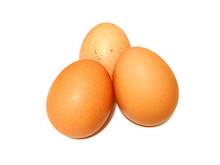 Eggs Eggs