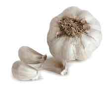 Garlic Garlic