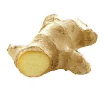 Ginger Ginger
