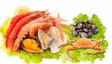 Seafoods Seafoods