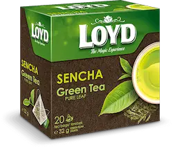 Loyds Sencha Green Tea