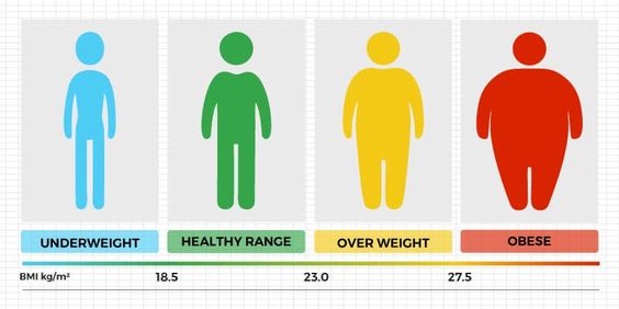 BMI Calculator Nigeria Chart