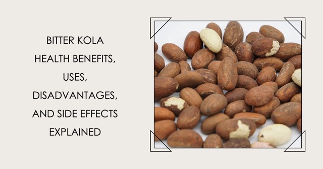 Bitter Kola Health Benefits, Uses, Disadvantages, and Side Effects Explained Medium Bitter Kola Health Benefits, Uses, Disadvantages, and Side Effects Explained