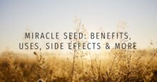 Miracle Seed- Benefits