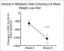 Metabolism diet study