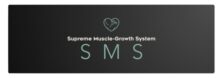 SMS Logo Medium 3