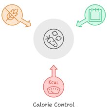 Mastering Nutrition Diagram 3